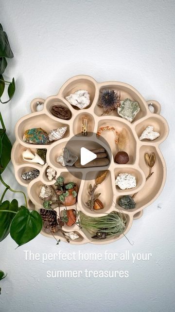 Tess Kress I Modern Curiosity Cabinets on Instagram: "Sand is by far my most popular shelf color at the moment and I’m not surprised. This beautiful neutral makes the perfect home for all your summer treasures. What would you fill this shelf with?

#curioshelf #natureshelf #naturecollection #hygge #hyggehome #earthyhome #cozyhomevibes" Curiosity Shelf, Curio Shelf, Curiosity Cabinet, Earthy Home, Not Surprised, Cabinet Of Curiosities, Hygge Home, Nature Collection, Perfect Home