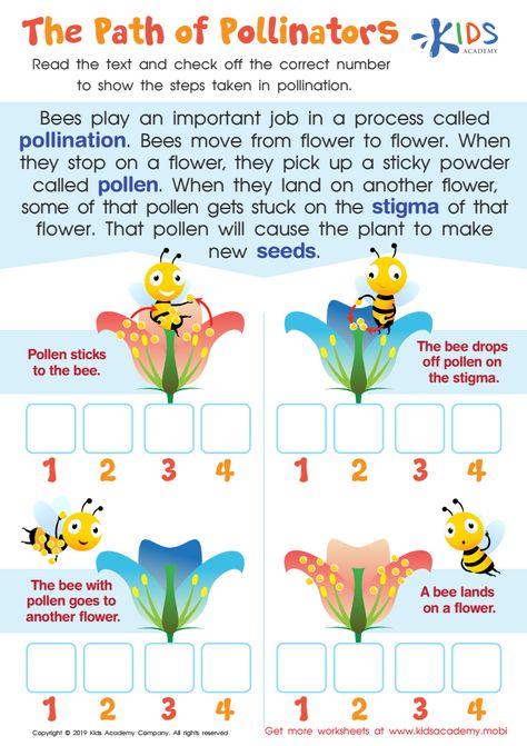 Bee Pollination Activity, Pollination Craft, Pollination Worksheet, Pollination Activities For Kids, Pollinator Activities, Insect Preschool, Pollination Project, Pollination Activity, Comprehension Kindergarten