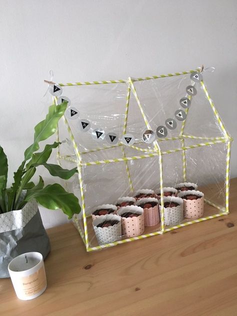 Diy Green House Small, Mini Greenhouse Diy, Mini Green House, Diy Mini Greenhouse, Cold Frame Diy, Agriculture Projects, Earth Month, Build A Greenhouse, Starting Seeds Indoors