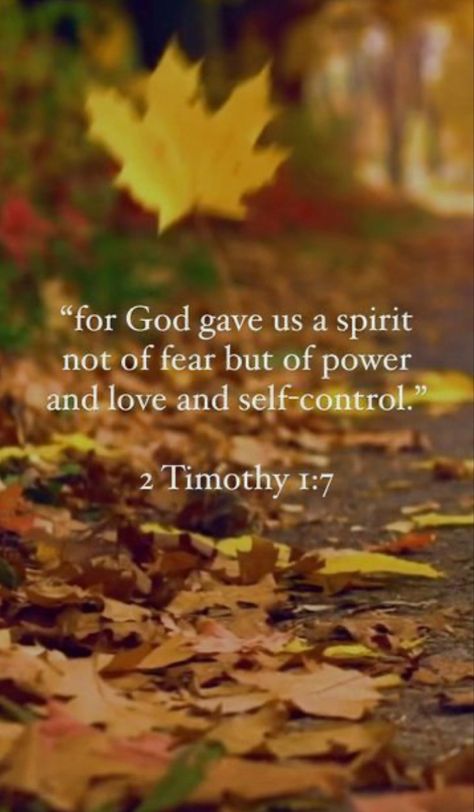 2 Timothy 1:7 God Power, My Lovely Wife, Jesus Scriptures, 2 Timothy 1 7, Gods Love Quotes, Powerful Bible Verses, About God, Biblical Verses, 2 Timothy