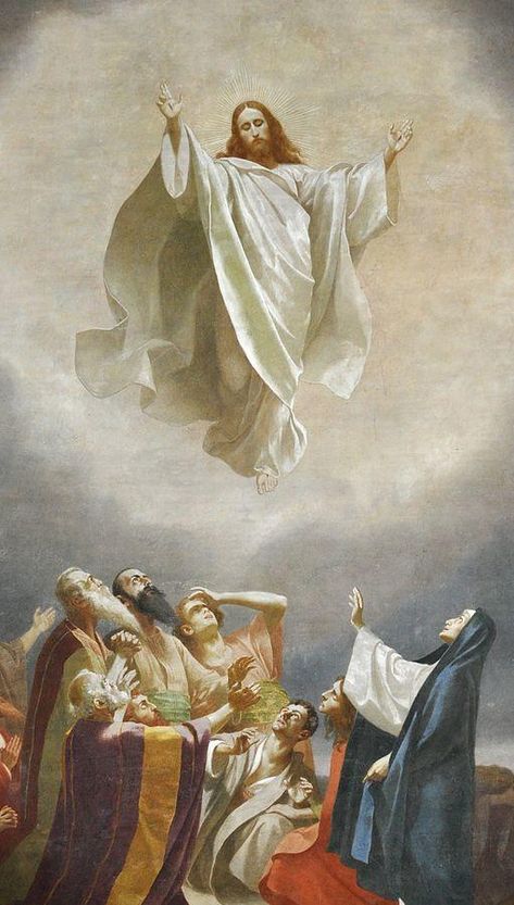 Come Holy Spirit! - “But I tell you the truth, it is better for you that I go. For if I do not go, the Advocate will not come to you. But if I go, I will send him to you.”  John 16:7  The hearts of the Apostles were conflicted.  They were filled with grief, but they were also trying to trust what Jesus said to them. Continue: https://catholic-daily-reflections.com/2018/05/07/come-holy-spirit-2/ Ascension Of Jesus, Spiritual Tattoo, Ascension Day, Image Of Jesus, Panna Marie, مريم العذراء, Istoria Artei, Religious Pictures, Christian Images