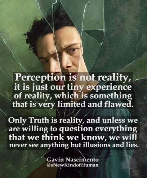 Perception is not reality, it is just our tiny experience of reality, which is something that is very limited and flawed.   Only Truth is reality, and unless we are willing to question everything that we think we know, we will never see anything but illusions and lies.   — Gavin Nascimento   #perception #matrix #deepthoughts #quotes Matrix Quotes, Matrix Theory, Perception Reality, Illusion Quotes, Perception Quotes, There Is No Spoon, The Matrix Movie, Question Everything, Knowledge And Wisdom