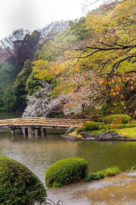 Shinjuku Gyoen National Garden Tokyo, Shinjuku Gyoen National Garden, Dream Japan, Tokyo Photography, Tokyo Aesthetic, Wu Wei, Tokyo Travel Guide, Shinjuku Gyoen, Korea Aesthetic