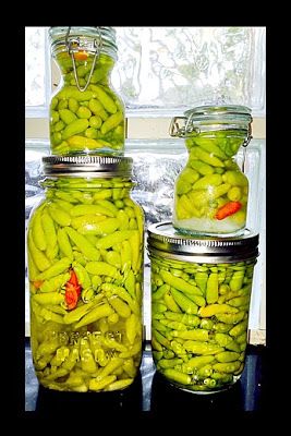 Pickling Hot Peppers Recipe, Tabasco Sauce Recipe, Tabasco Peppers, Canning Hot Peppers, Hot Dog Sauce Recipe, Pickled Hot Peppers, Hot Pepper Recipes, Hot Dog Sauce, Tabasco Pepper