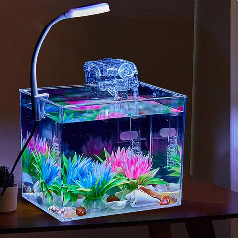 Betta Fish Tank Small Fish Tank With Wall Mounted Filter LED Clamp Light Aquarium Starter Kits For Square Aquarium, Vaporwave Room, Clamp Light, Led Light Wall, Small Fish Tanks, Aquarium Ideas, Degree Design, Fish Breeding, Betta Fish Tank