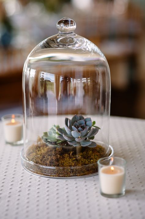 Flower Dome Centerpiece, Moss Terrarium Centerpiece Wedding, Flower In Glass Dome, Flower Glass Dome, 2014 Wedding Trends, Dried Flower Glass Dome, Cloche Decor, Tea Party Table, Garden Vases