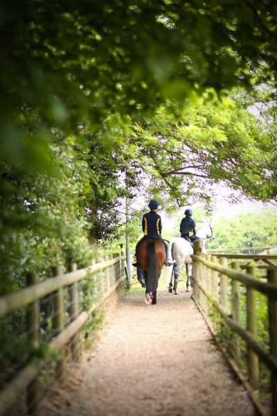 Sidcot Equestrian Centre offers a rare combination – a school livery yard, in the heart of a thriving co-ed day and boarding school, highly commended by BHS. For students who already ride, or who want to learn, Sidcot is a popular choice, as we pride ourselves on our friendly atmosphere for both beginners and experienced riders alike. Find out more about our equestrian offer here 👉 www.sidcot.org.uk/equestrian #horseriding #equestrian #riding #horserider #equestrianlife #equestrianaesthetic Equestrian School, Livery Yard, Equestrian Aesthetic, Equestrian Center, Equestrian Riding, Equestrian Life, Boarding School, Horse Rider, Horse Riding