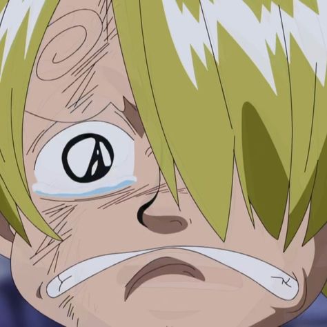 Ugly Cat, Piece Icons, One Piece Meme, Sanji Vinsmoke, One Piece Funny, Minecraft Creations, One Piece Pictures, Manga Anime One Piece, One Piece Manga