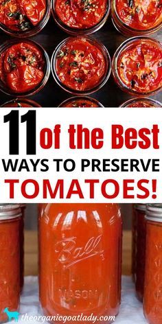 How To Preserve Tomatoes, Preserve Tomatoes, Canning Tomatoes Recipes, Preserving Tomatoes, Canning Fruit, Canning Whole Tomatoes, Home Canning Recipes, Canning Vegetables, Canning Food Preservation