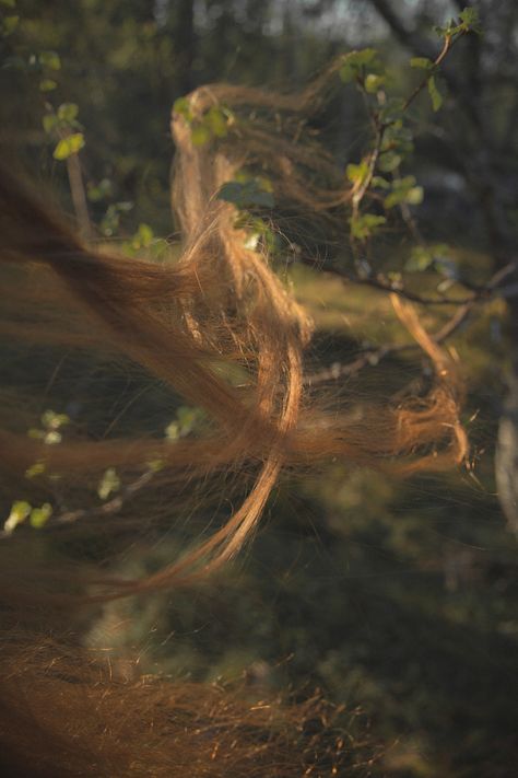 Instagram: @/ Nattesjel The Nature Of Witches Book, Faun Aesthetic, Plant Powers, Aesthetic Long Hair, Wilderness Photography, Woods Aesthetic, Earth Powers, Nature Witch, Fairycore Fairy