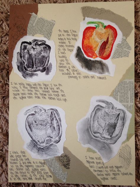 AS Observational Studies #pen #art #collage #studies #drawing #painting #pepper Fruit Study Drawing, Gcse Art Pepper Page, Observational Drawing Gcse, Organic Art Drawing, Food Sketchbook, Pepper Drawing, Observational Studies, Studies Drawing, Natural Forms Gcse