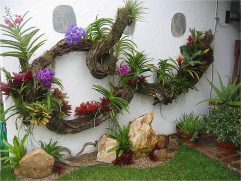 Orchid Garden Ideas, Vertikal Garden, Air Mancur, Orchid Planters, Vertical Vegetable Garden, Orchid Garden, Orchids Garden, Wall Garden, Salou