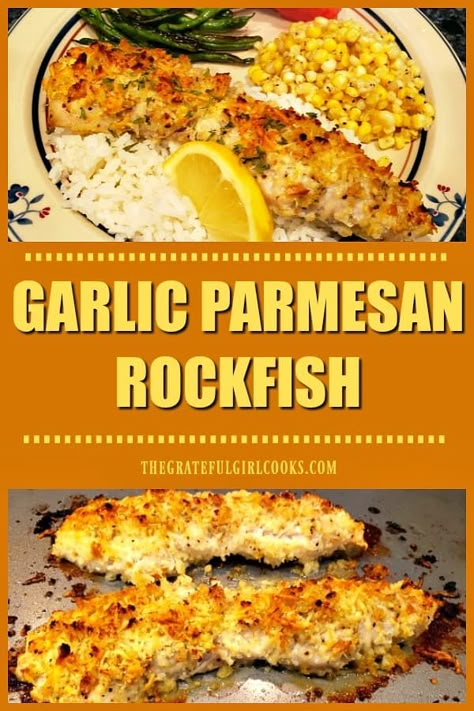 You will enjoy these delicious Garlic Parmesan Rockfish fillets, coated in well-seasoned bread crumbs & baked until flaky. Only 10 minutes prep time! / The Grateful Girl Cooks! How To Cook Rock Fish, Rock Fish Fillet Recipe, Rock Fish Recipe Healthy, Baked Rock Fish Recipes Oven, How To Cook Rockfish Fillet, Rock Fish Recipe Baked, Rock Fish Recipe Air Fryer, Rockfish Recipes Pan Seared, Rockfish Recipes Baked