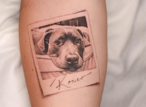 Polaroid Dog Tattoo, Tattoos Dedicated To Pets, Portrait Dog Tattoo, Pet Face Tattoo, Dog Portraits Tattoo, Realistic Dog Portrait Tattoo, Dog Portrait Tattoos, Creative Dog Tattoos, Dog Forearm Tattoo