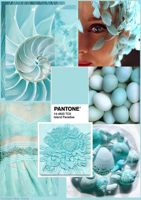 Tropical Island Color Palette, Aqua Color Palette, Pantone Palette, Sea Glass Colors, Color Schemes Colour Palettes, Aquamarine Colour, Color Collage, Island Paradise, Color Palette Design