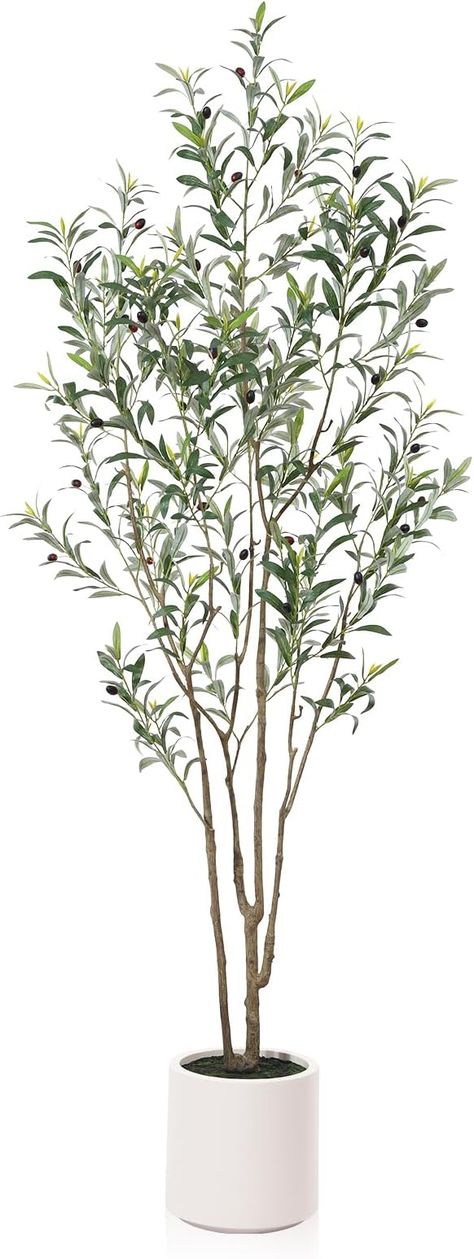 Amazon.com: LOMANTO Artificial Olive Trees, 7 ft Tall Fake Olive Trees for Indoor, Faux Olive Silk Tree, Large Olive Plants with White Planter for Home Decor and Housewarming Gift, 1 Pack : Home & Kitchen Artificial Olive Tree, Olive Plant, Faux Olive Tree, Fake Trees, Wood Trunk, Silk Tree, Tall Planters, Faux Tree, White Planters