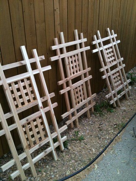 Wall hanging Trellis' Hanging Trellis, Japanese Trellis, Garden Trellis Designs, Patio Trellis, Lattice Panels, Cedar Walls, Diy Garden Trellis, Trellis Ideas, Cheap Pergola