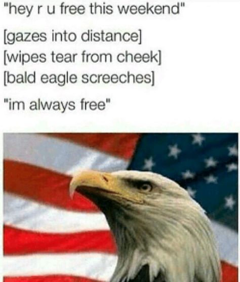 Freedom. #Murica #funny 4th Of July Meme, America Memes, Funny 4th Of July, Fresh Memes, Wholesome Memes, Funny Stories, Funny Laugh, Best Memes, Bald Eagle