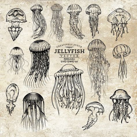 This is INSTANT and DIGITAL DOWNLOAD DIGITAL FILE- NO PHYSICAL PRODUCT WILL BE SENT Black Jellyfish SVG Bundle, for printing and laser engraving. Only 1 color - black. This package of files contain Jellyfish Clipart. ,  WHAT'S INCLUDED: 1 x SVG - vector file containing the main designs and the icons. It allows you to resize the design and to change the color scheme. 1 x DWG 1 x AI Please be sure to have the correct software for opening and using these file types ALL SALES ARE FINAL FOR DIGITAL D Type Of Jellyfish, Jellyfish Design Illustration, Different Types Of Jellyfish, Jellyfish Art Drawing, Medusa Animal, Jellyfish Vector, Jellyfish Tattoo Design, Jellyfish Svg, Black Jellyfish