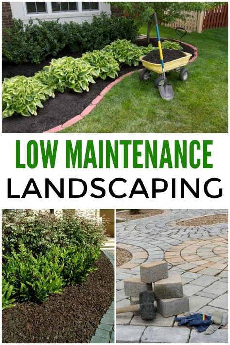 Low Maintenance Landscaping Ideas Inexpensive Landscaping, Low Maintenance Landscaping Front Yard, Texas Landscaping, Yard Ideas Backyard, Porch Landscaping, Side Yard Landscaping, Small Front Yard Landscaping, Driveway Landscaping, Front Yard Garden Design