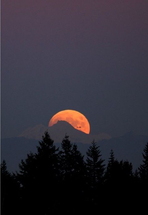 Most Beautiful Nature, Beautiful Nature Photography, Dream Moon, Orange Moon, Matka Natura, Shoot The Moon, Moon Rising, Image Nature, Soyut Sanat Tabloları