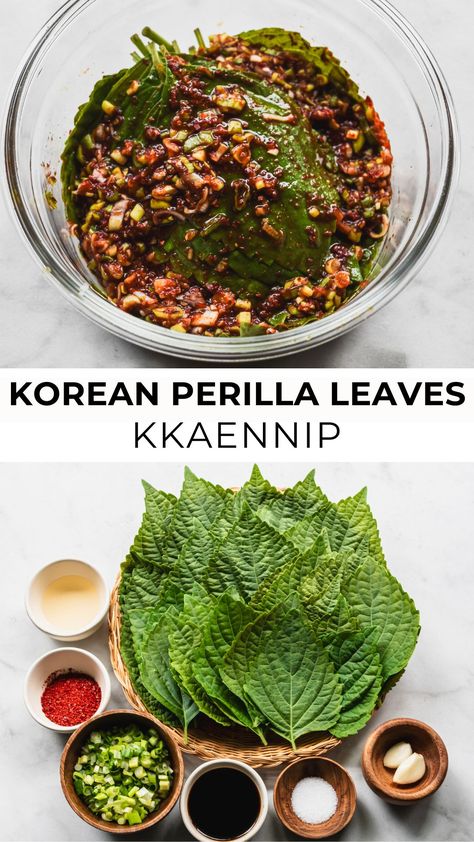 Korean perilla leaves with ingredients on the bottom Perilla Leaves Kimchi, Korean Perilla Leaves Recipe, Asian Vegetable Side Dish Recipes, Perilla Leaves Recipes, Asian Party Food, Korean Side Dish Recipes, Shiso Recipe, Vegan Korean Food, Chinese Side Dishes