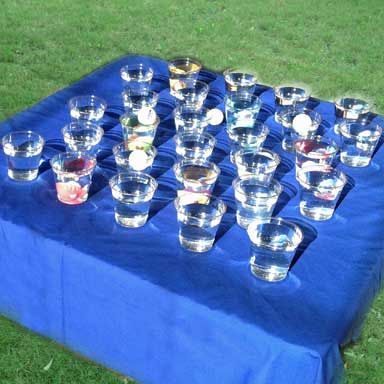 Fish Cup Carnival Game -- you just need ping pong balls, plastic fish and clear plastic cups from your local store! Carnival Games Ideas, Fish Bowl Game, Fall Festival Booth, Booth Games, Pta Events, Diy Carnival Games, Carnival Booths, Fall Festival Games, Fest Ideas