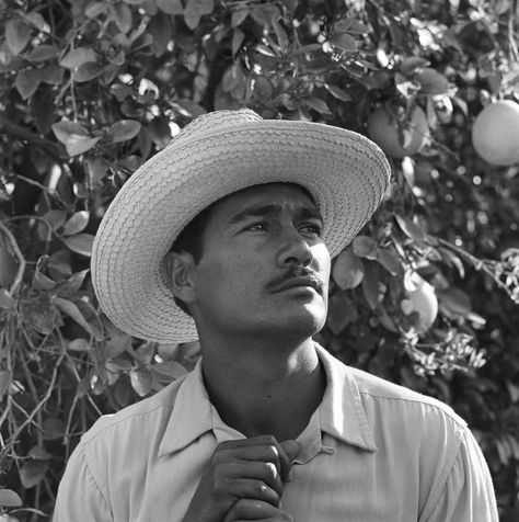 World War II affected the U.S. labor market in countless ways, but in the farms of the South and West, the impact was perhaps most visible when harvest time arrived. With American workers off fighting and therefore hard to come by, Mexican farm workers were brought to the U.S. as legal guest workers known as braceros. 1950s America, Mexican History, Animation References, Farm Workers, Mexican People, Mexico History, Mexican Border, Mexican Men, Migrant Worker