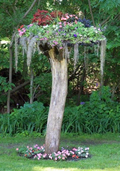 Barbacoa Jardin, French Island, Tree Stump Planter, Carillons Diy, Unique Garden Art, Natural Landscaping, Tree Planters, Tree Stumps, Front Yard Landscaping Plans