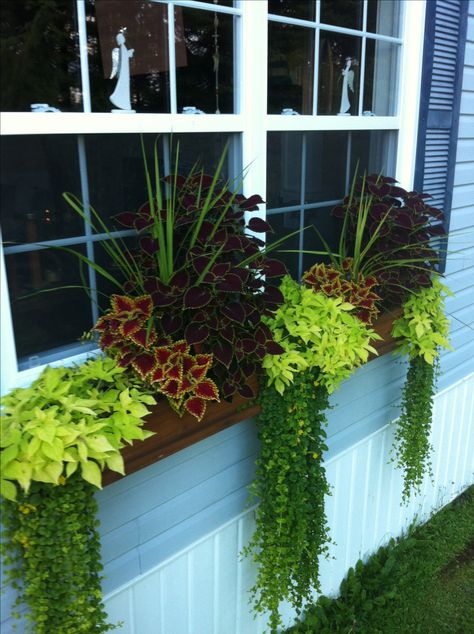 Window planter box