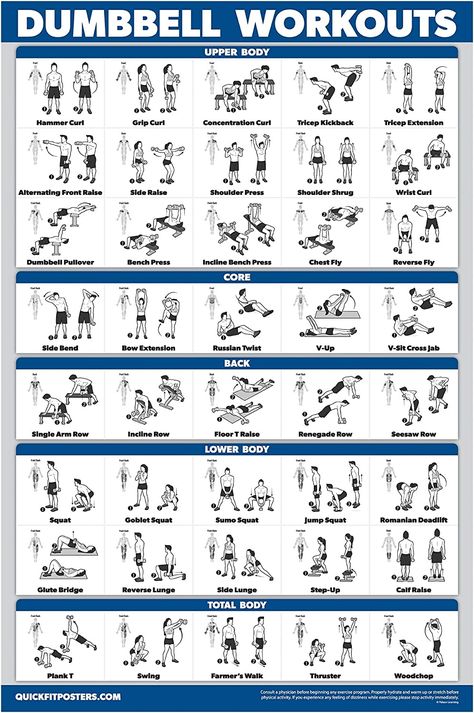 Dumbbell Workout Routine, Dumbbell Workout Plan, Exercise Poster, Free Weight Workout, Dumbbell Workout At Home, Dumbbell Workouts, Fitness Studio Training, Full Body Dumbbell Workout, Workout Hiit