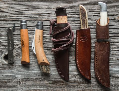 The Best Mushroom Hunting Knives Mushroom Knife, Mushroom Foraging, Chicken Of The Woods, Mushroom Hunting, Wild Mushroom, Types Of Knives, Ins And Outs, Camp Knife, Famous Americans