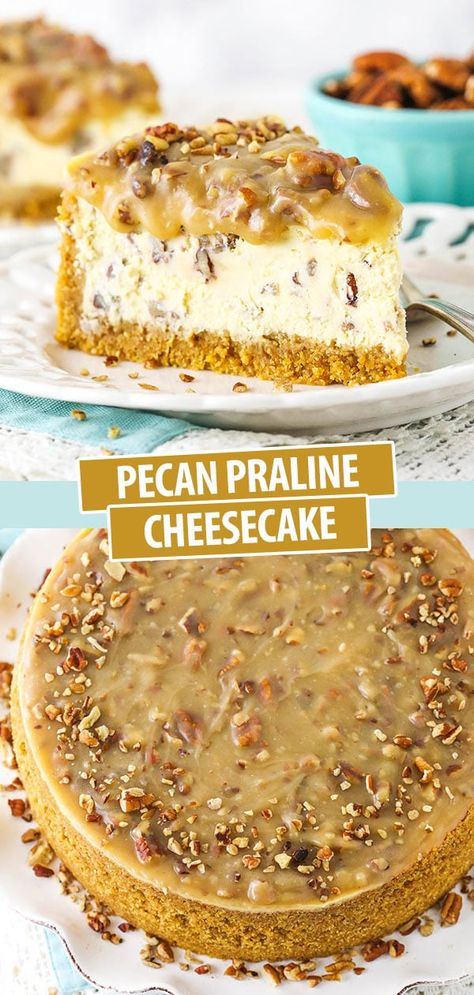 Pecan Praline Cheesecake, Pecan Praline Sauce, Praline Cheesecake, Praline Sauce, Pecan Praline, Pecan Cheesecake, Pecan Pralines, Cheesecake Desserts, Losing 40 Pounds