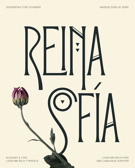 Introducing Reina Sofía: A typeface fit for a queen. 👑 Inspired by the Art Deco and Art Nouveau treasures of Madrid's iconic museum, this vintage-inspired font exudes elegance and artistry. ✨ Over 150 ligatures and alternates await your creative touch. ✨ Double-tap if you're ready to add a touch of vintage glamour to your designs! ✨ 🔺 Font: Reina Sofia - Vintage Display Serif Font #ReinaSofiaFont #ArtDeco #ArtNouveau #VintageTypography #FontLove #DesignInspiration #hustlemode Graffiti Font Alphabet Street Art, Title Font Ideas, Art Nouveau Branding, Art Nouveau Lettering, Graffiti Font Alphabet, 1920s Font, Art Deco Alphabet, Font Art Design, Art Nouveau Typography