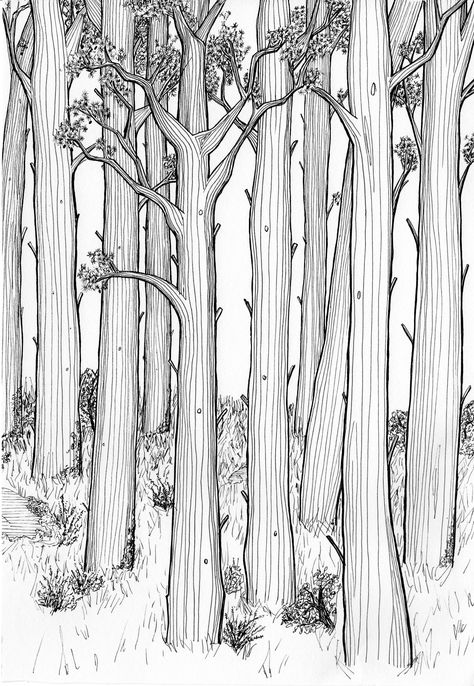 Forest Illustration Black And White, Black And White Forest Drawing, Forrest Drawing Simple, Forest Drawing Black And White, Forest Sketch Simple, Tree Forest Drawing, Forest Drawing Simple, Forest Line Drawing, Forest Line Art