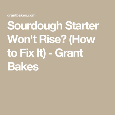 Sourdough Starter Won't Rise? (How to Fix It) - Grant Bakes How Do You Know If Your Sourdough Starter Is Bad, Sourdough Starters, Sourdough Starter Discard Recipe, Discard Recipe, Starter Recipe, No Rise Bread, Homemade Sourdough Bread, Sourdough Starter Recipe, Rye Flour