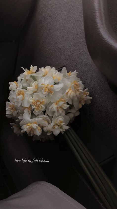 Pov Caption Ideas For Flowers, Its Been A While Caption Instagram Story, Thanks For Gift Caption, Bouquet Of Flowers Aesthetic Caption, Flowers With Caption, White Flower Quotes Instagram, White Flowers Caption, Dreamy Flowers Aesthetic, White Daffodil Aesthetic