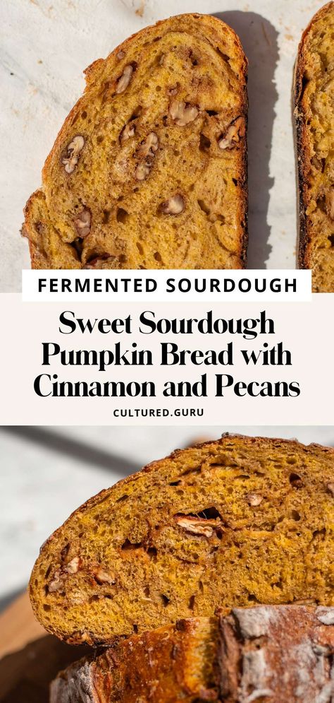 Pumpkin Sourdough Boule, Healthy Sourdough Pumpkin Muffins, Pumpkin Sourdough Loaf, Pumpkin Spice Sourdough, Sourdough Loaf Recipes, Blue Cheese Sourdough Bread, Flavored Sourdough Recipes, Southern Sourdough Co, Soughdough Discard Recipes