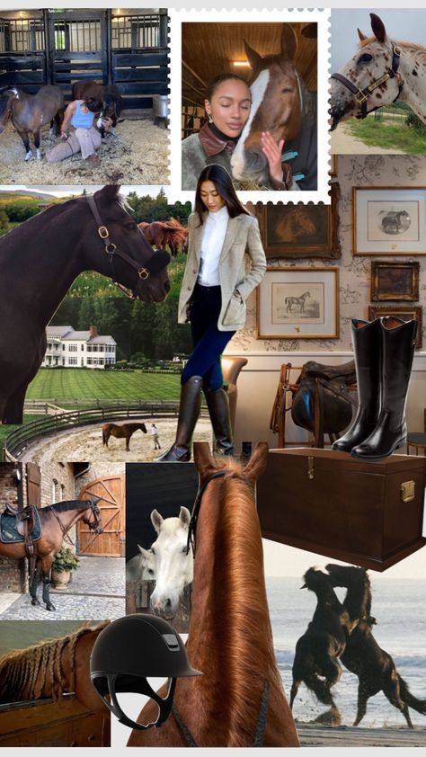 Equestrian Vision Board, Equestrian Mood Board, English Equestrian Aesthetic, Equestrian Life Aesthetic, Equestrian Aesthetic Wallpaper, Horse Moodboard, Rich Equestrian Aesthetic, Today Aesthetic, Horse Collage