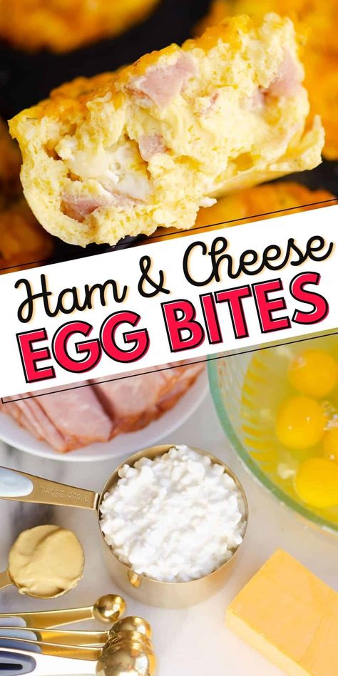 Cottage Cheese Recipes Healthy, Cottage Cheese Breakfast, Egg Bites Recipe, Bariatric Friendly Recipes, Low Carb Low Fat Recipes, Low Carb Meal Prep, Cottage Cheese Recipes, Low Carb Low Sugar, Egg Bites