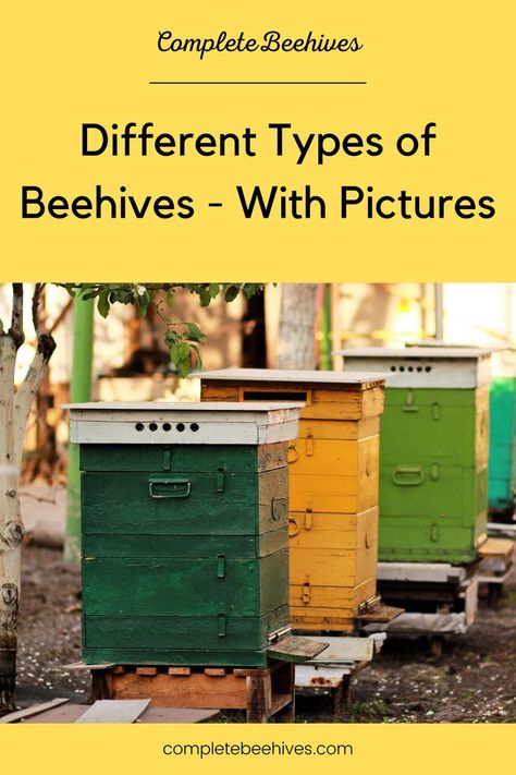 When choosing which beehive to get it is helpful to look at different types of beehives with pictures. The 4 types of beehives are Langstroth, Top Bar, Warre, and Horizontal. Langstroth and Horizontal hives are similar, except the Langstroth hive stacks upwards. Top bar and Warre hives use bars instead of frames and foundation. Beehive Pictures, Getting Rid Of Bees, Langstroth Hive, Urban Beekeeping, Bee Book, Bee Hives, Fun Hobbies, Busy Bee, Bee Keeping