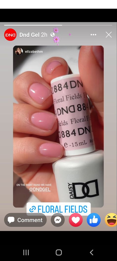 Dnd Jelly Colors, Dnd Gel Polish Colors With Chrome, Sheer Pink Nails Dnd, Dnd Clear Pink Gel Nails, Dnd Pink Nails, Dnd Pale Pink Gel, Dnd Gel Polish Colors Light Pink, Dnd Neutral Gel Polish, Dnd Summer Colors 2024