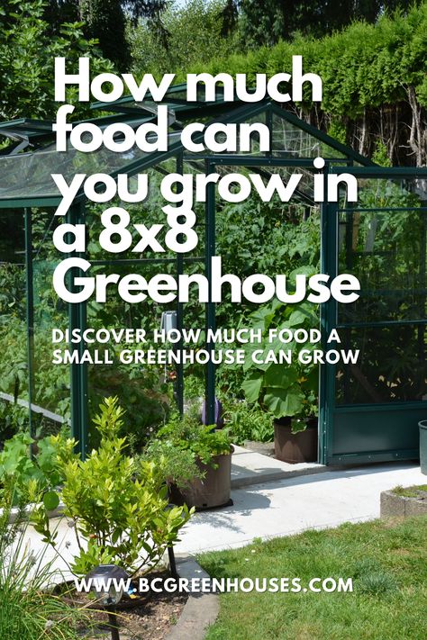 Grow House Ideas, Small Greenhouse Layout, Growing Vegetables In A Greenhouse, Greenhouse Growing Tips, 10x10 Greenhouse, Greenhouse Gardening Layout, Costco Greenhouse, Small Greenhouse Interiors, Bc Greenhouses