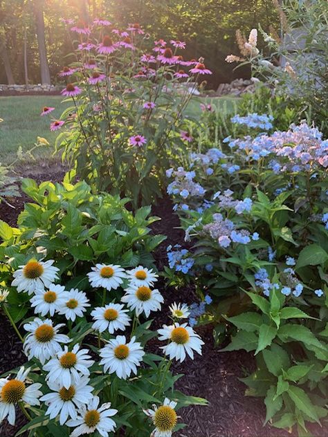 Cottage Garden On A Hill, New England Wildflower Garden, New England Garden Landscaping, Strawflower Garden, Cottage Garden Layout, Cottage Garden Landscaping, Cottagecore Backyard, Foxglove Garden, Pool Flowers