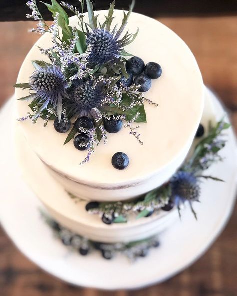 Wedding Cake Blueberries, Blue Thistle Wedding Cake, Huckleberry Wedding Cake, Wedding Cake With Blueberries, Blueberry Themed Wedding, Midnight Blue Wedding Cake, Scottish Wedding Cake Ideas, Different Wedding Cake Ideas, M&s Wedding Cake