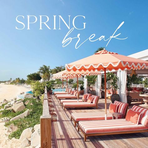 ☀️ Spring Break Fever is HERE! We just booked @belmond_lasamanna dreamy 3-bedroom cottage and 1-bedroom terrace suite for Spring Break 2025! As invite-only Belmond Bellini Advisors, we’re unlocking exclusive perks just for you: 💛Highest priority for room upgrades. 💛Daily breakfast for all guests. 💛$200 resort credits per suite. 💛Plus, some top-secret client surprises! And, all for the same cost, the client would have booked on their own! 💛That’s right, when you know which hotel you want... Resort 2025, Bedroom Cottage, Room Upgrade, Spring Resort, Bedroom Terrace, Bellini, When You Know, The Client, Top Secret