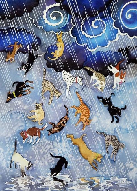 Weather Print, Raining Cats And Dogs, Dog Illustration, Dog Images, Dog Paintings, Cats And Dogs, Small Paintings, Map Painting, Cat Pin