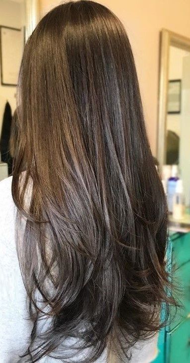 Long Hair Small Layers, Long Layers Haircut Brown Hair, Long Hair With Small Layers, Long Layers On Long Hair Straight, Layers For Long Hair Brown, Soph Mosca Hair, Long Layers Aesthetic, Layers On Straight Hair Long, Slight Layers Long Hair