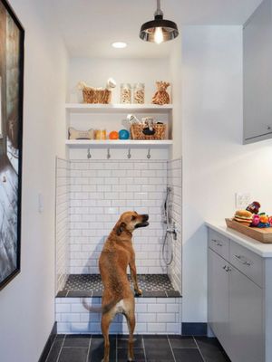 Pet Friendly, Tile, Flooring, Pet, Bedroom, Black, Home Decor, Home Décor