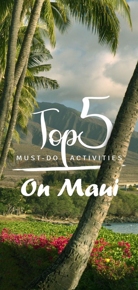 Top 5 Must-Do Maui Activities Haleakala Sunrise, Maui Tours, Maui Snorkeling, Maui Hawaii Vacation, Maui Travel, Best Snorkeling, Hawaii Trip, Blue Hawaii, Hawaii Vacation